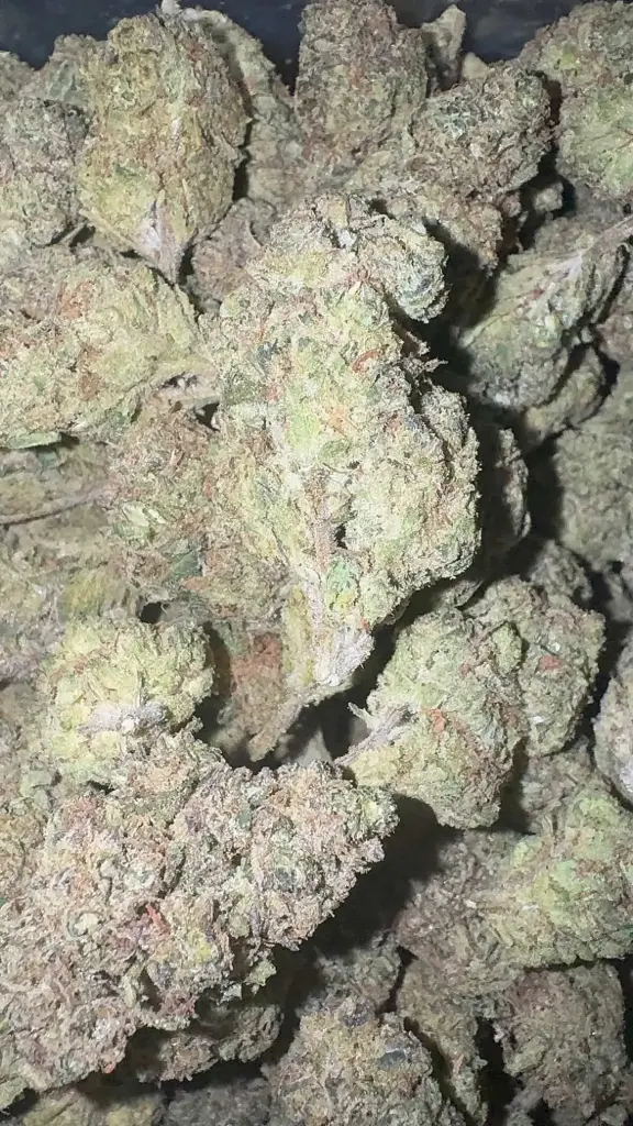 Mule Fuel
