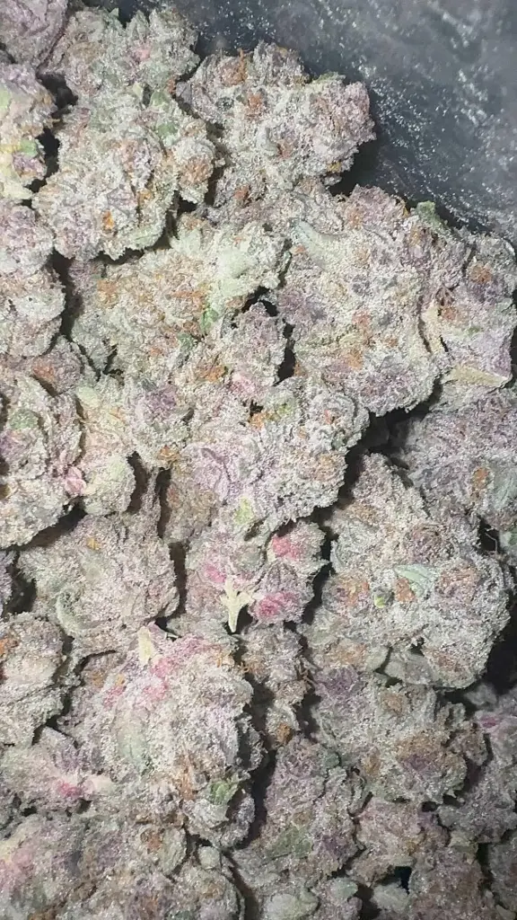 Candy Loops