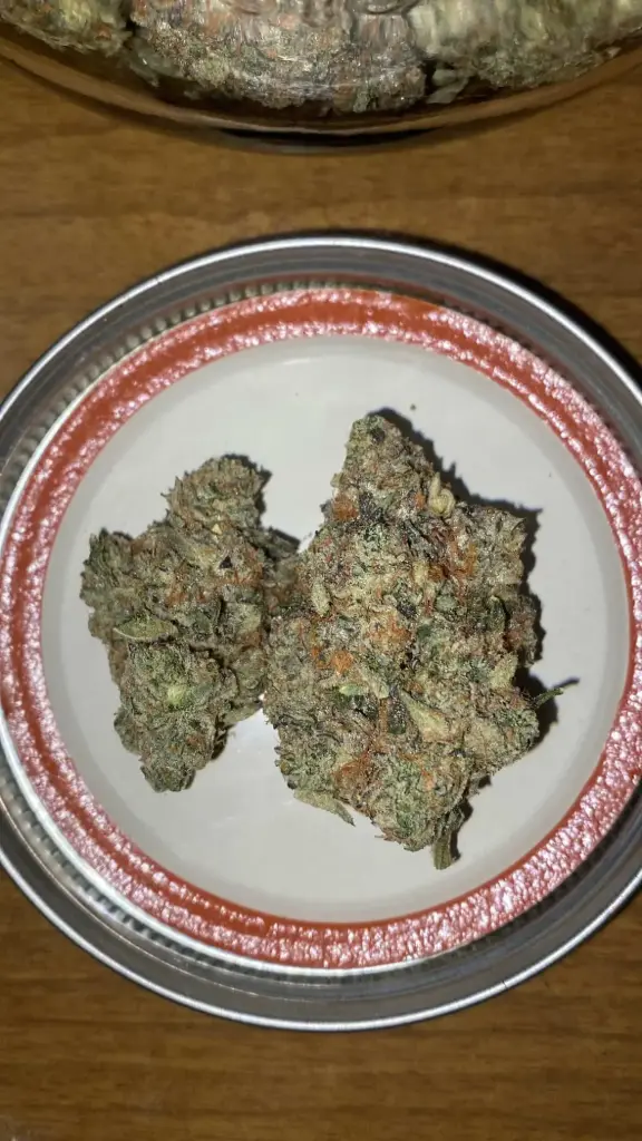 Georgia Pie   ( Hybrid Sativa Leaning) (1/8 Ounce (3.5g))