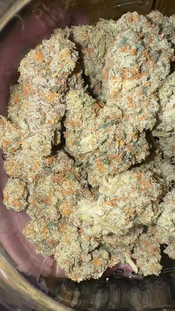 Marmalade