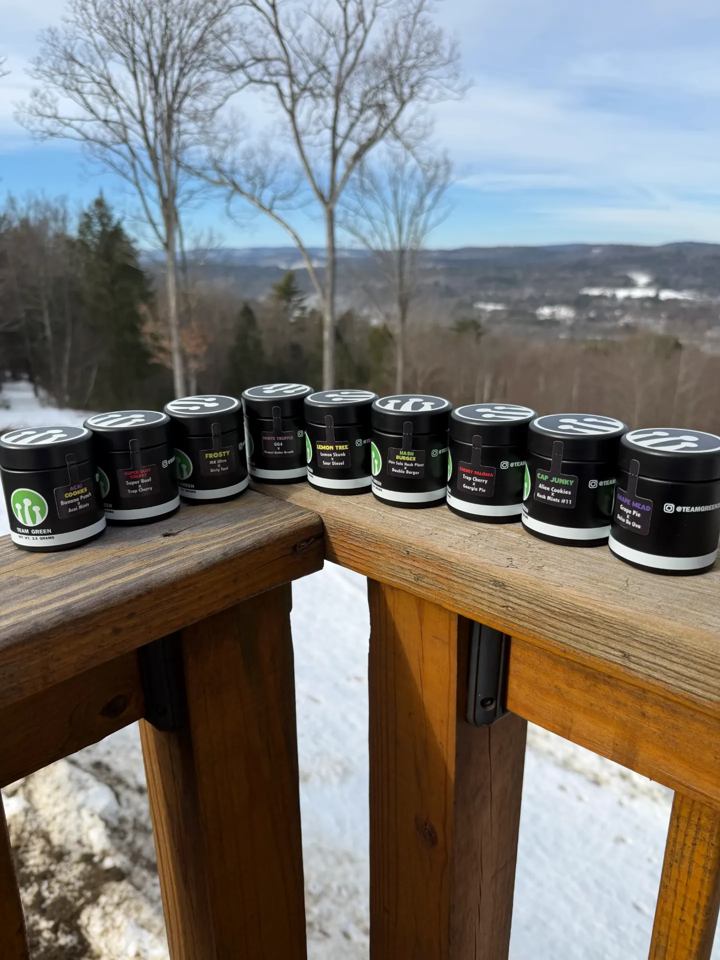 Team Green 1/8th Jars