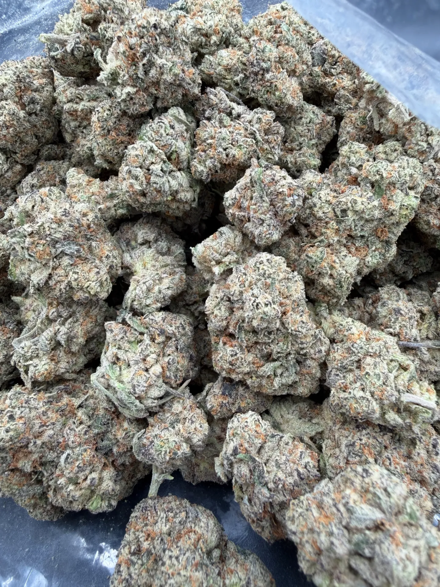 Miracle Alien Cookies (1/4)