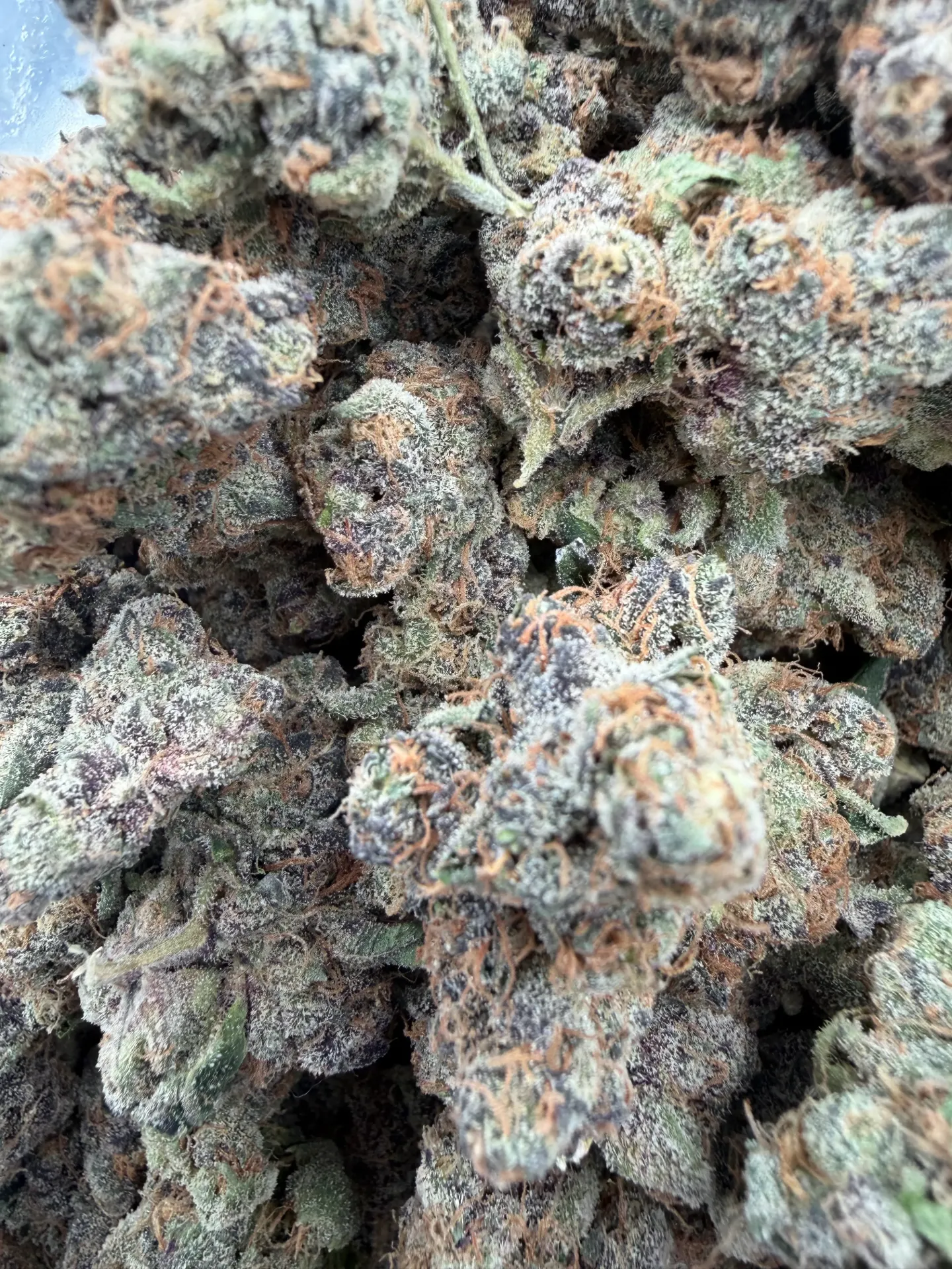 Blue Ritz (Hybrid) (1/8 Ounce (3.5g))
