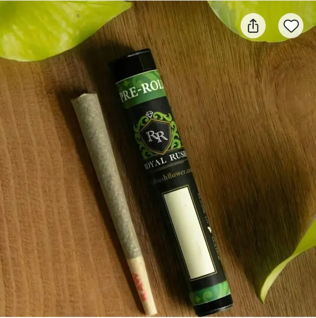 Royal Rush 1.2 gram Pre Rolls (1)