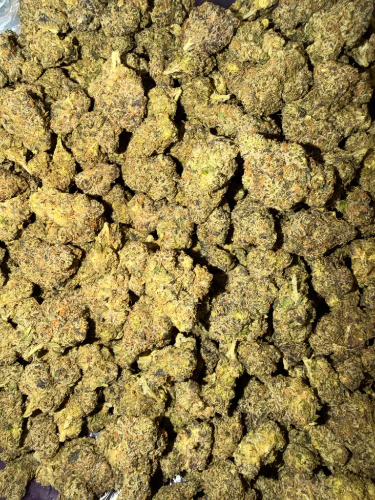 Italian Ice (Hybrid)($35/Q) (1/4)