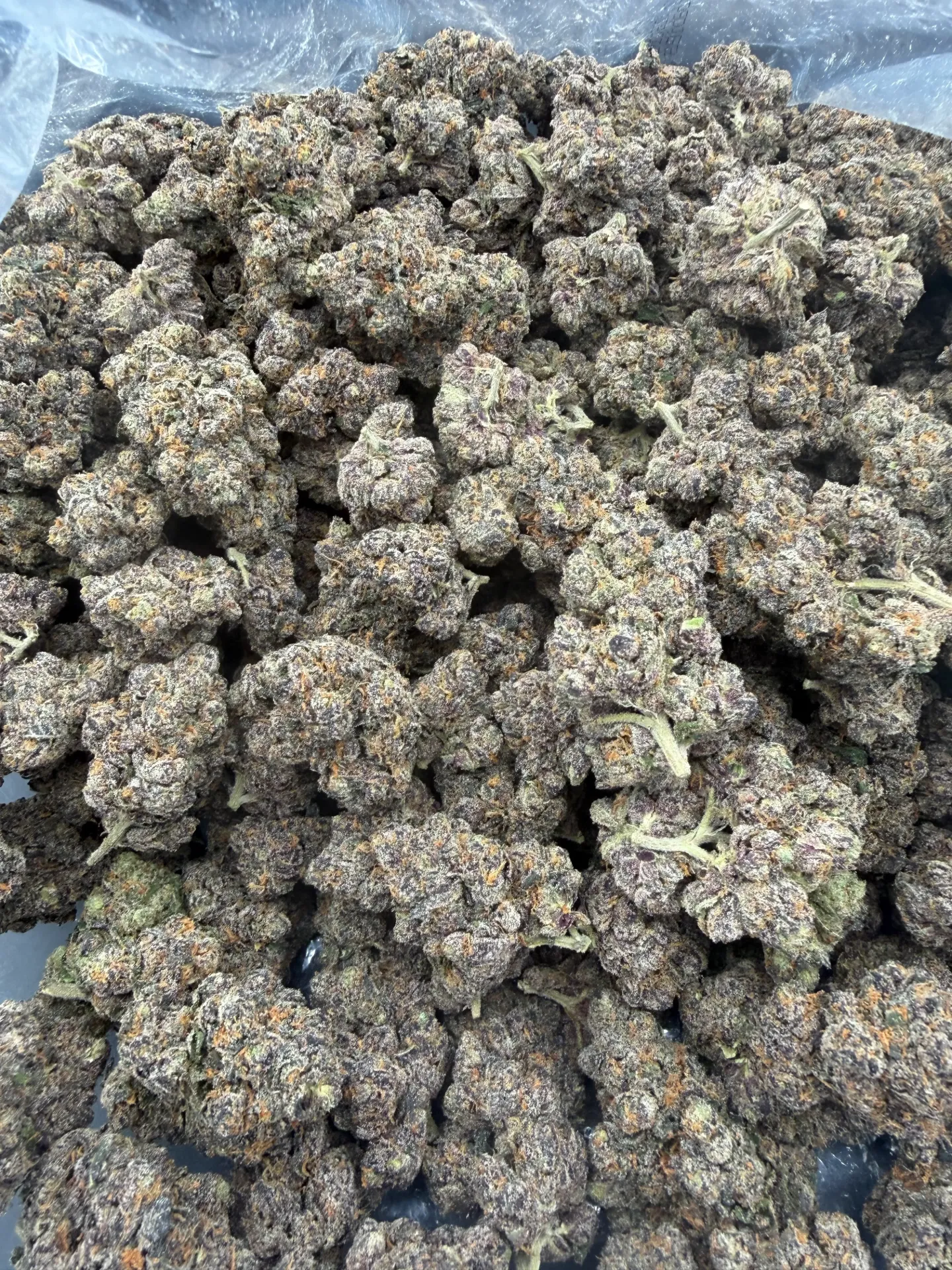 Jokerz     (Hybrid) (14grams)