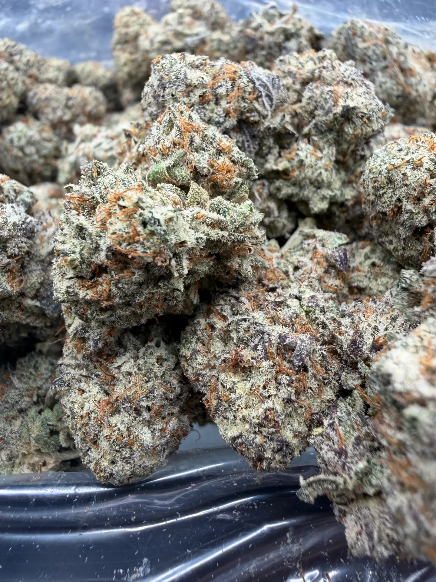 Frosted Donuts(Hybrid) (1/4)