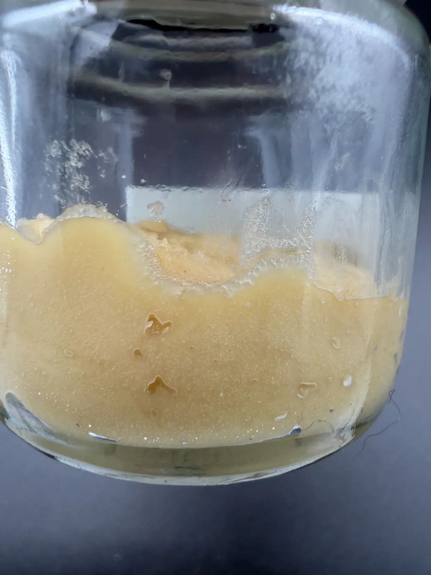 14 gram Gmo live Hash rosin Jar Hot of the Press (Rotten Papaya)
