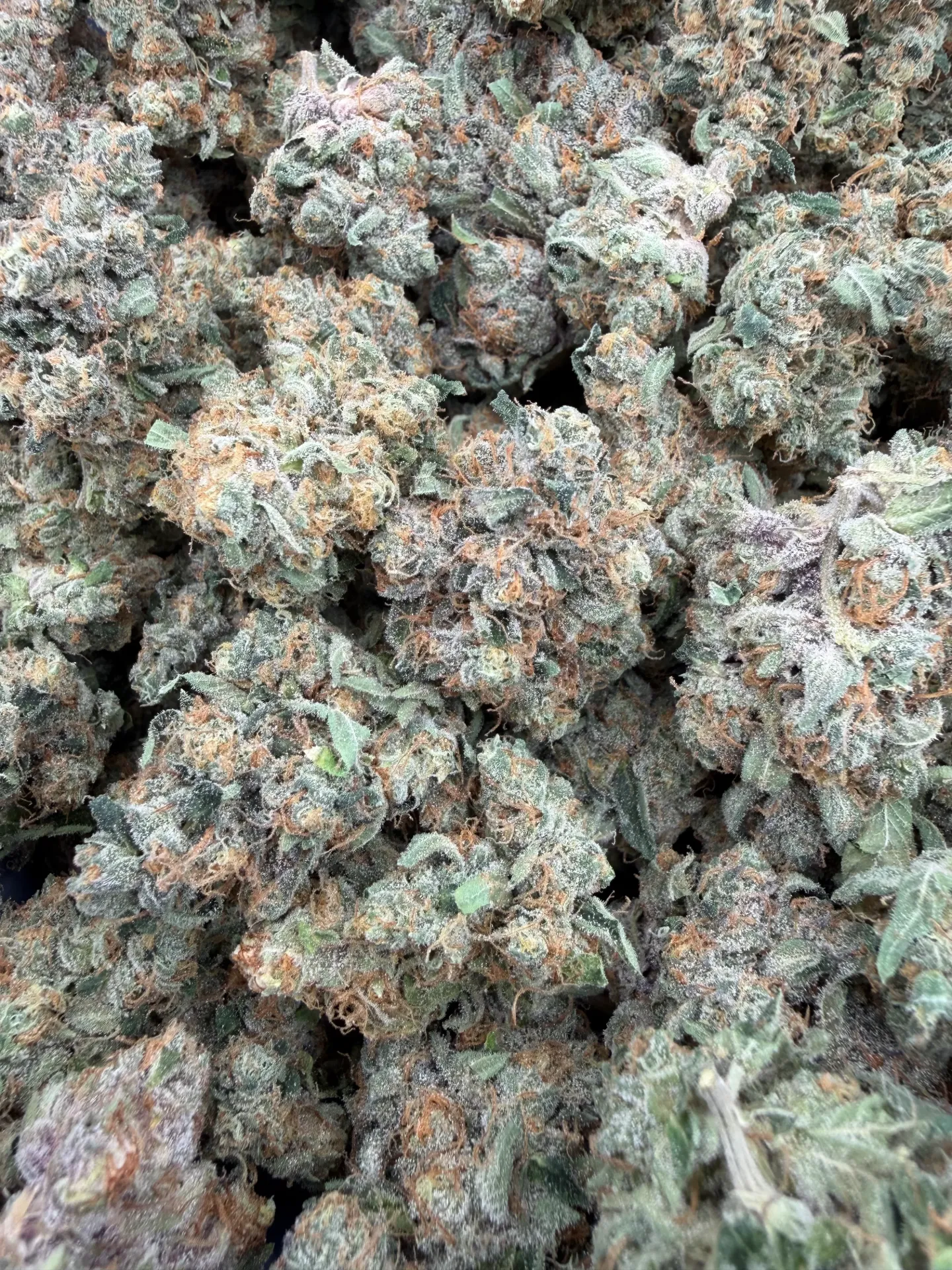 Starburst Og    (Sativa ) (1/4)