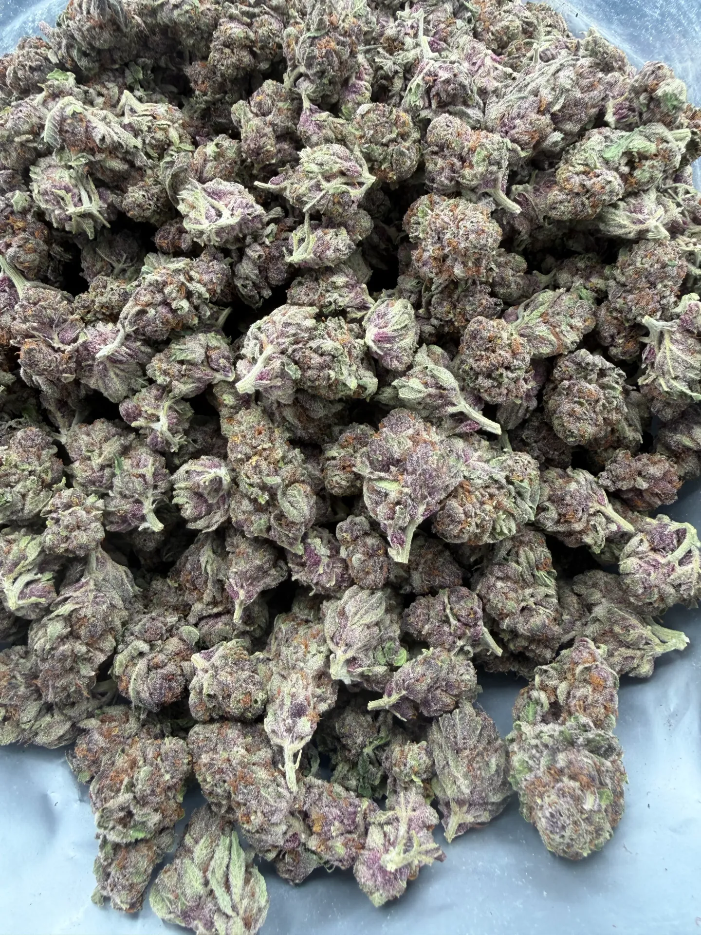 Trop Cherry (sativa)