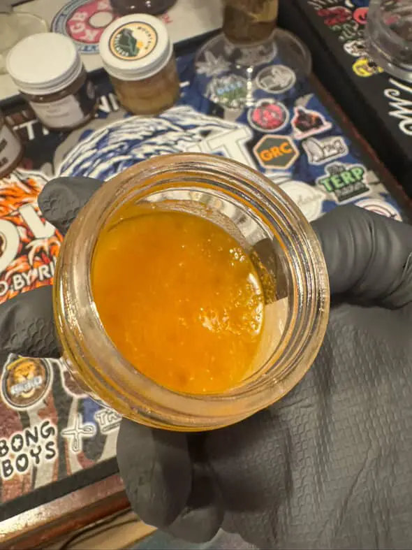 Z Burger BHO