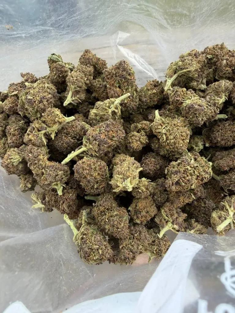 Grape Gas (Cali Midz) Zips Only