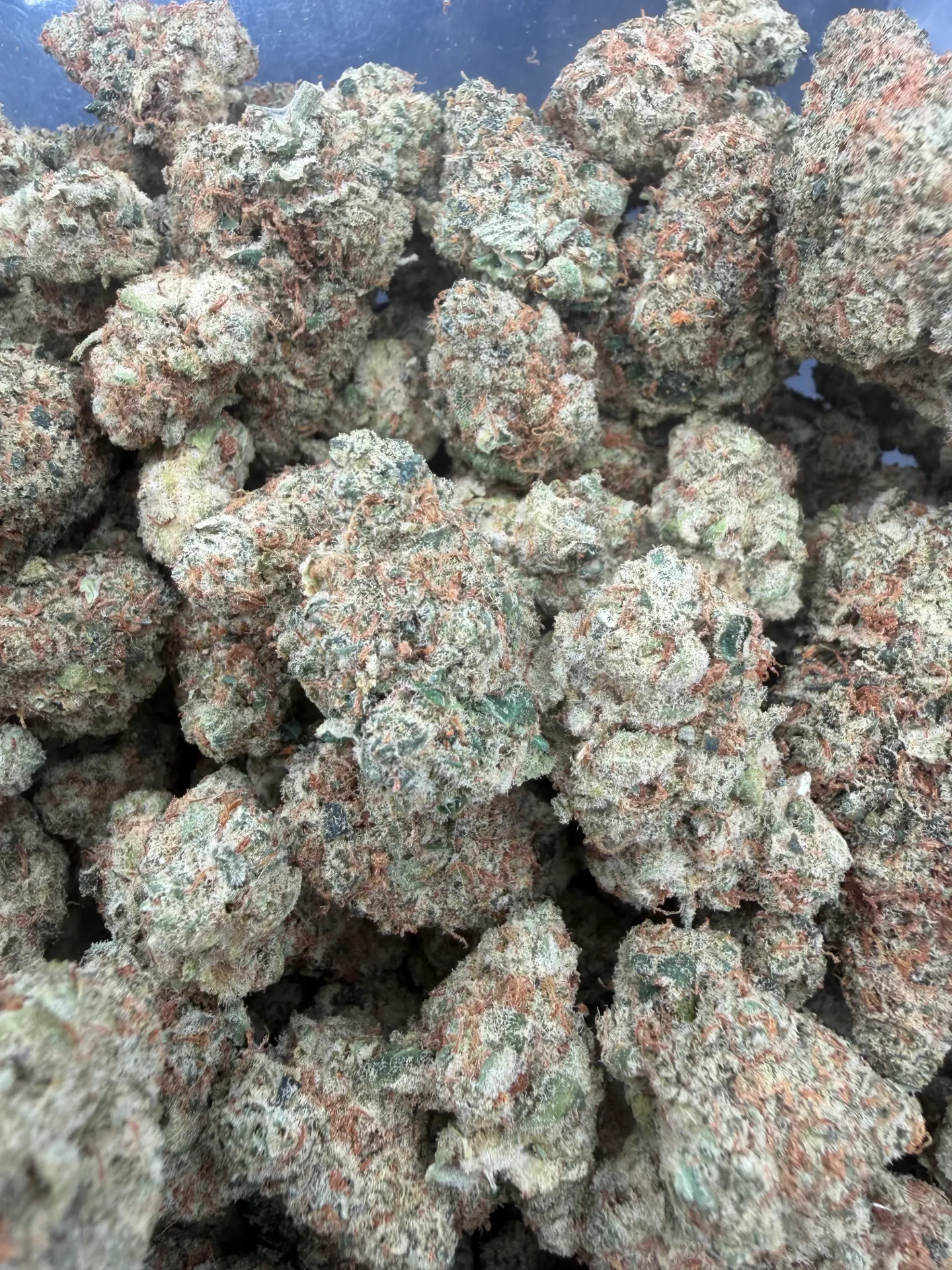 Mikes Lemonade (Sativa ) Top Shelf (1/4)