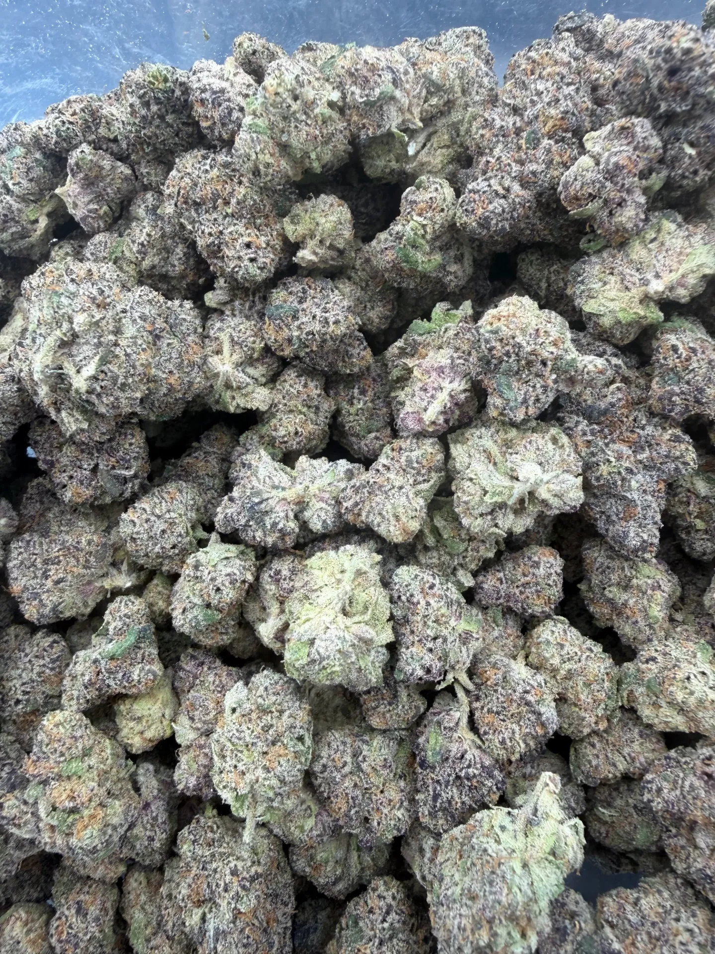 Full Metal (Hybrid)   Top Shelf (1/8 Ounce (3.5g))
