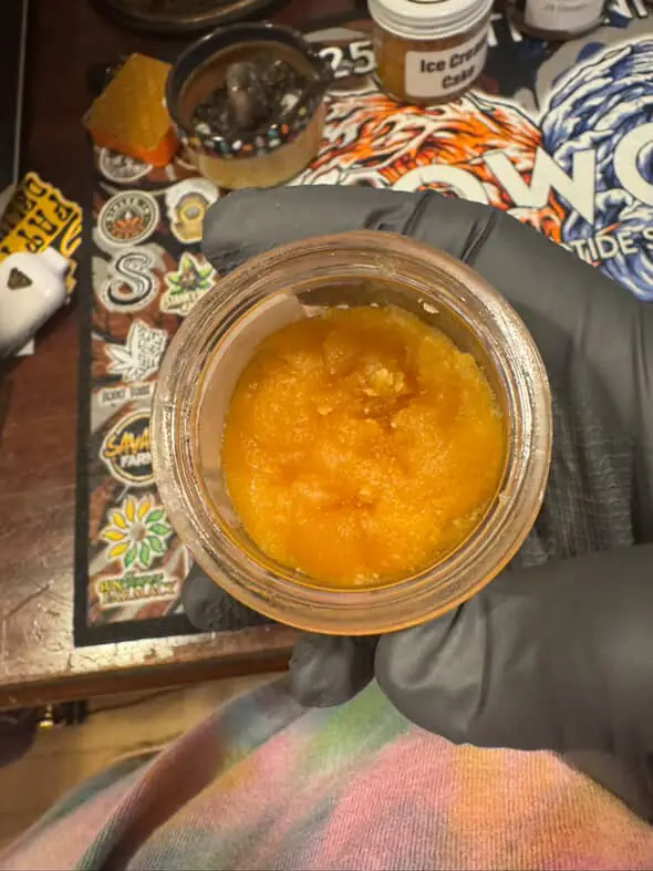 GMO BHO