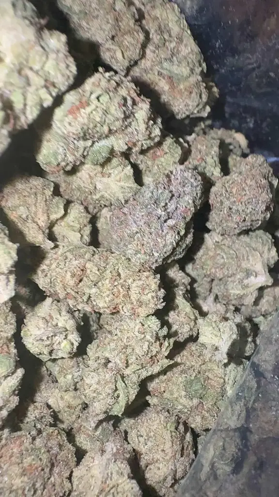 Grease Monkey