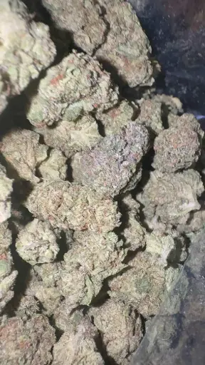 Grease Monkey