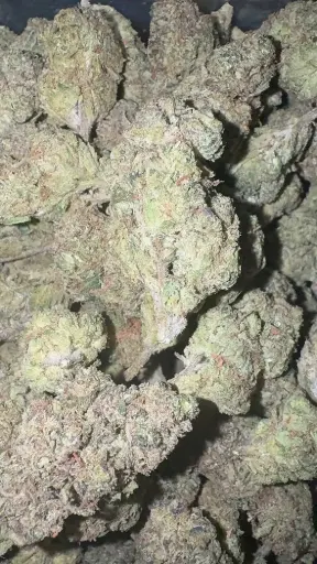 Mule Fuel