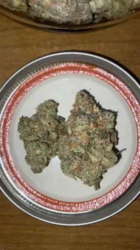 Georgia Pie