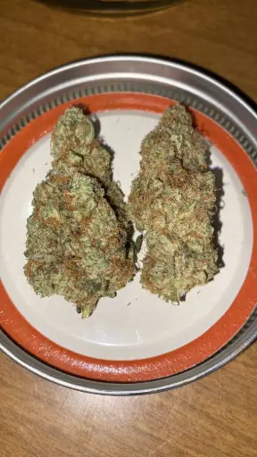 Lemon Tree